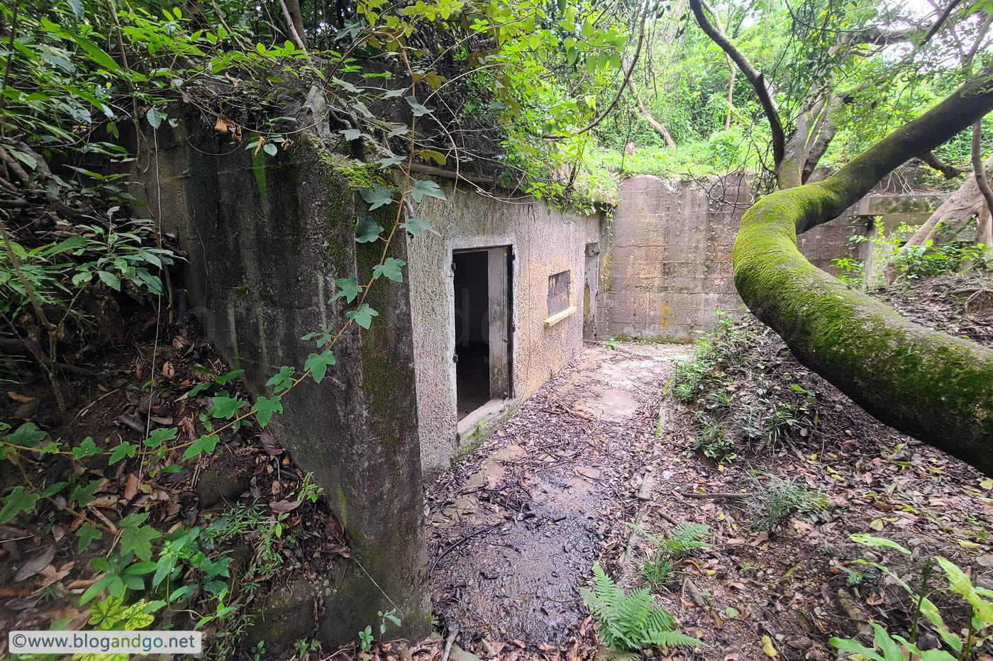 Mount Davis Battery - Anti-Aircraft Position